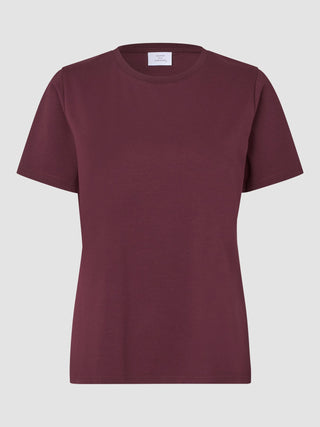 Women's Supima T-shirt Winery