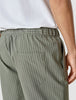 Tech Linen Elastic Shorts Green Pinstripe