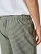 Tech Linen Elastic Shorts Green Pinstripe